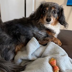 Meet your Posher, Abigayl